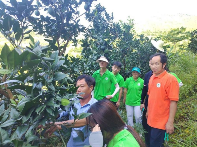 福建尤溪柑橘科技小院：扎根梯田，破解柑橘产业难题