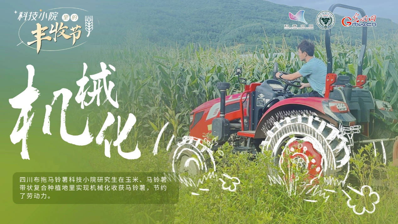 【科技小院里的丰收节】牢牢端稳中国饭碗，科技小院“薯”香四溢