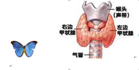 甲状腺癌的“懒癌”之称是否名副其实？