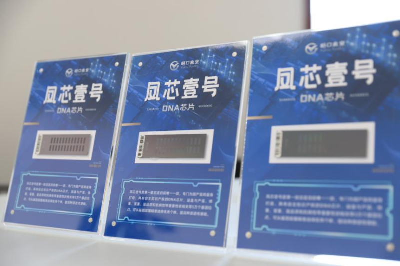 节气品农味 | 深秋进补的第一只鸡，可能就来自这个家族