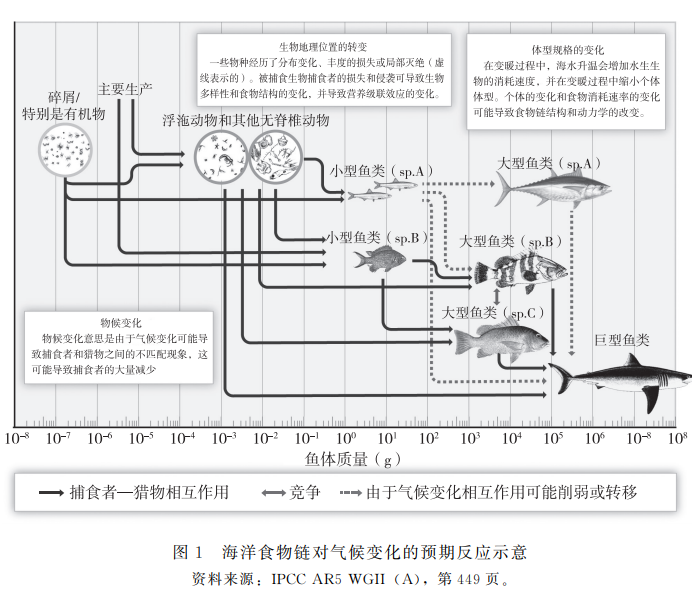 海洋变沙漠！气候变化下如何避免毁“渔”一旦？