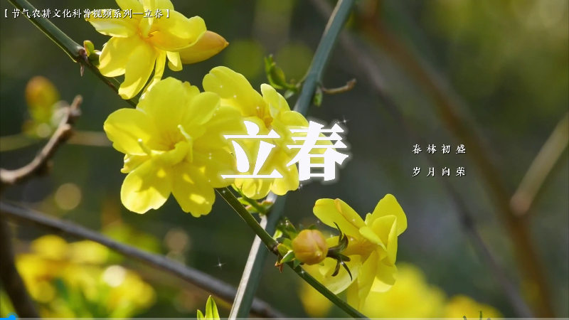 【节气农事·立春篇】律回岁晚冰霜少，春到人间草木知