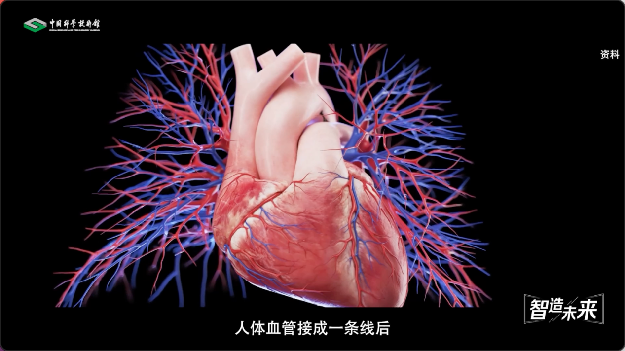 【智造未来】血液通道 生命桥梁——人造血管研发技术