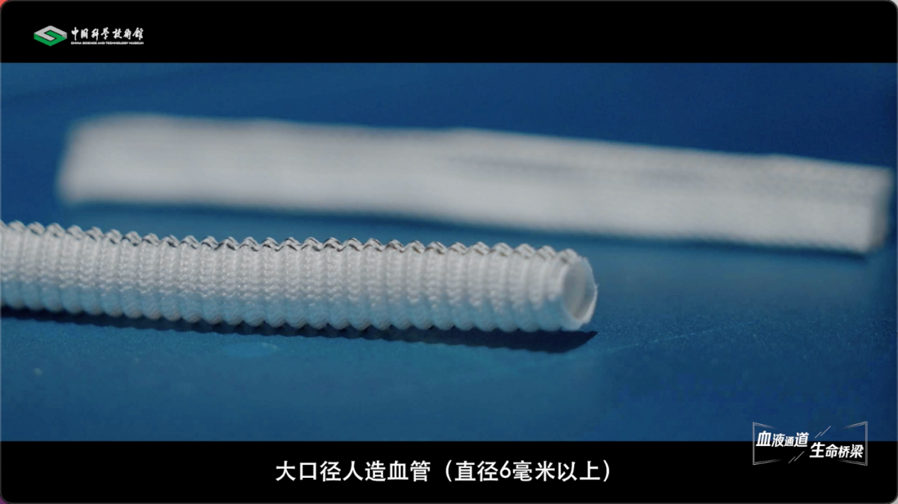 【智造未来】血液通道 生命桥梁——人造血管研发技术