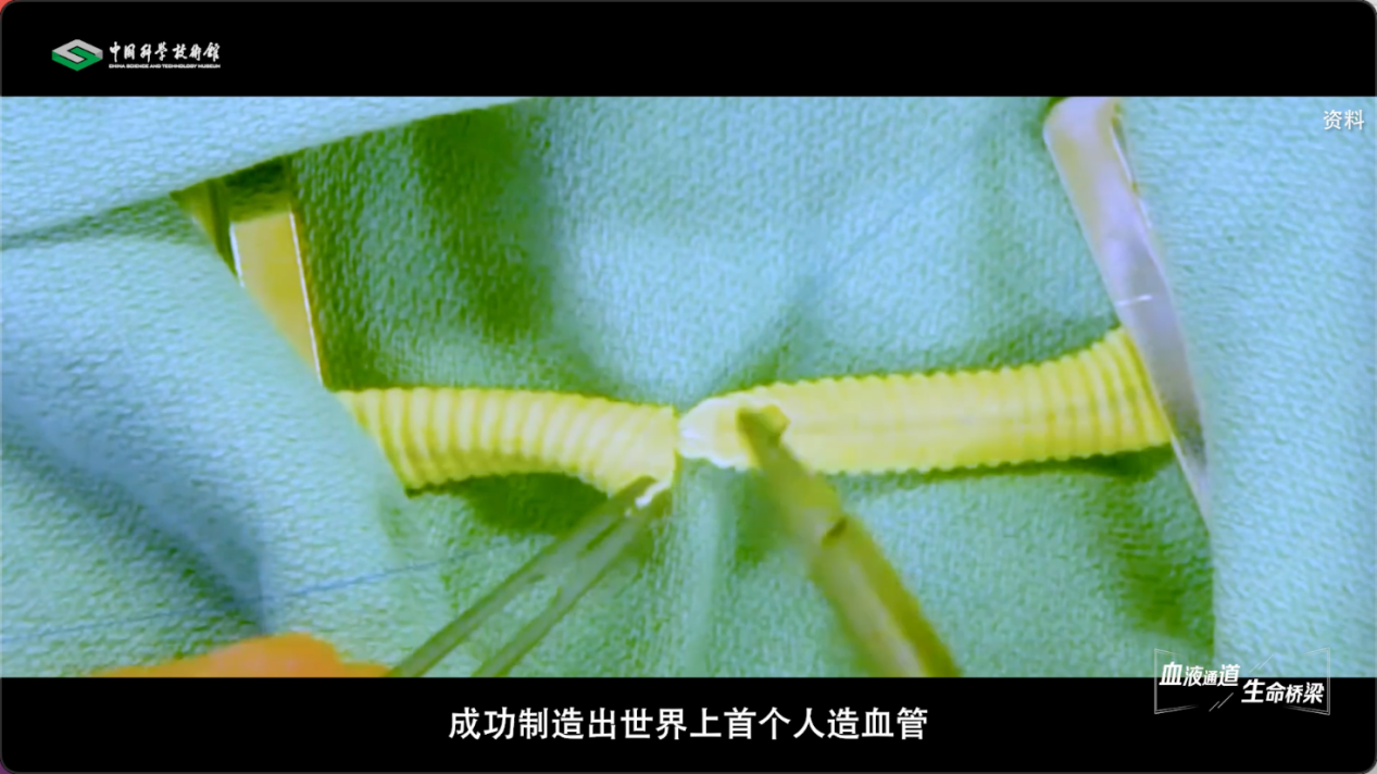 【智造未来】血液通道 生命桥梁——人造血管研发技术