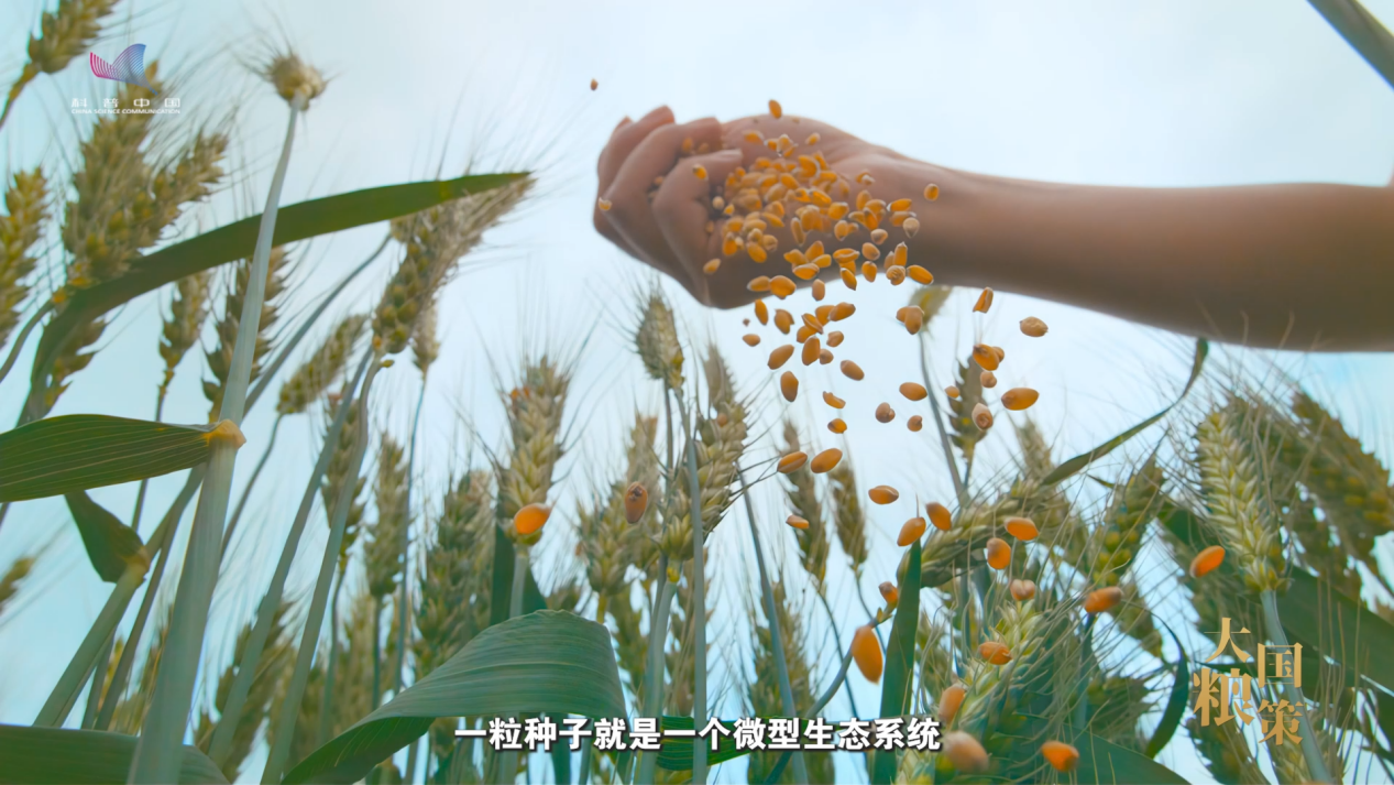 去火星种地？这个专业或可解决人类吃饭问题｜大国粮策