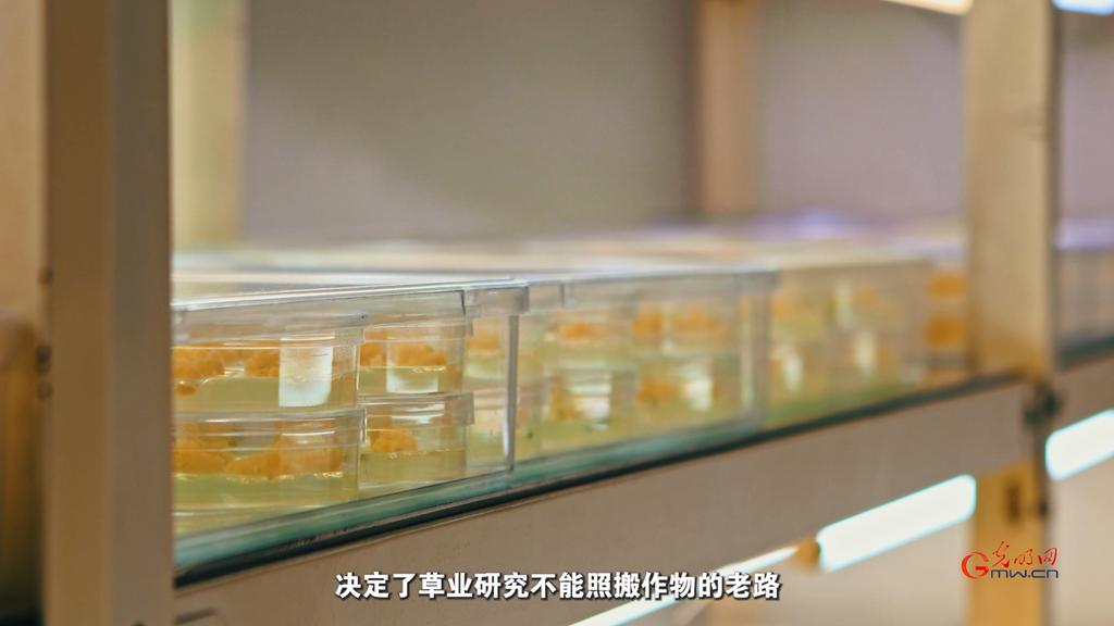 生态、生产、生活同频共振:科技如何让草原既绿又富? 生态、生产、生活同频共振:科技如何让草原既绿又富?