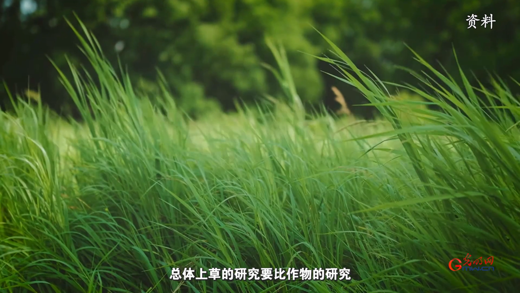 生态、生产、生活同频共振:科技如何让草原既绿又富? 生态、生产、生活同频共振:科技如何让草原既绿又富?