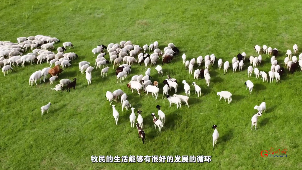 生态、生产、生活同频共振:科技如何让草原既绿又富? 生态、生产、生活同频共振:科技如何让草原既绿又富?