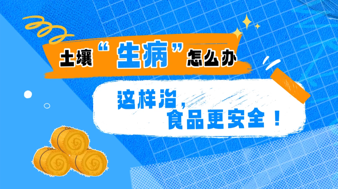 【大国粮策】土壤“生病”怎么办？这样治，食品更安全！