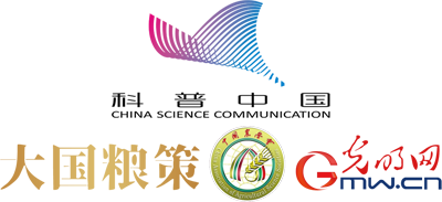 【大国粮策】从田间到餐桌，杂粮凭啥成了“新宠儿”