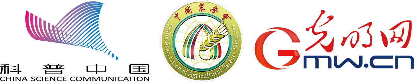 【大国粮策】谷子种植“加减法”：绿色技术破解成本与效益难题