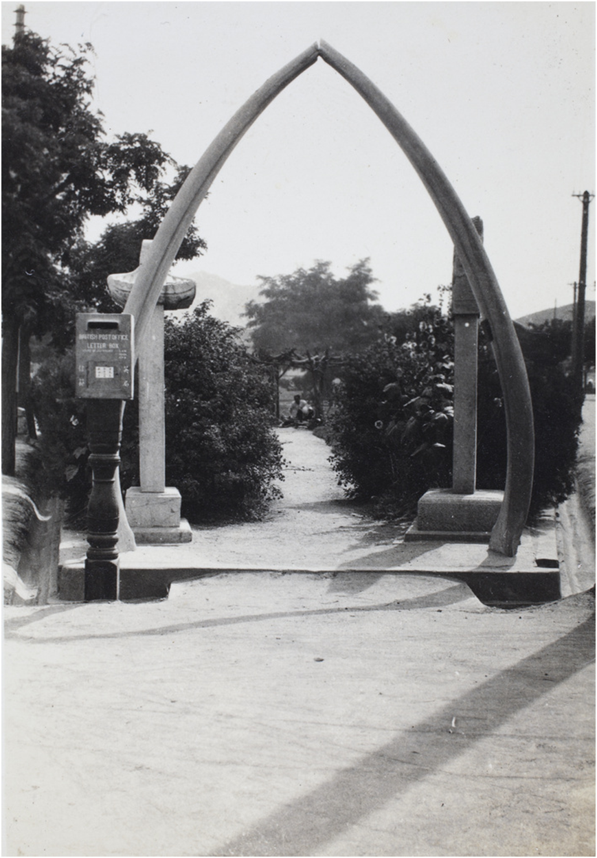 鱼骨庙真实存在?历时三年走遍海岸线,找到海洋巨兽!