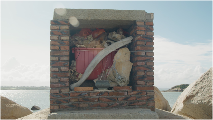 鱼骨庙真实存在?历时三年走遍海岸线,找到海洋巨兽!