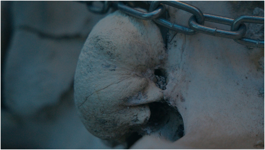 鱼骨庙真实存在?历时三年走遍海岸线,找到海洋巨兽!