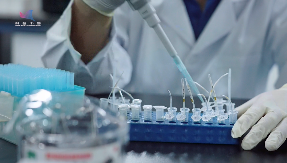 【大国粮策】5万份“豆种宝藏”如何炼成餐桌美味？