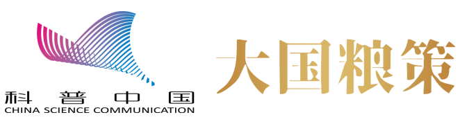 【大国粮策】麦浪里的基因密码：一粒种子里的华夏农耕文明