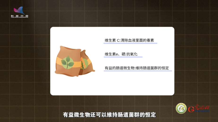 【大国粮策】喂得讲究，打的精准，给动物健康做一场“科学加法”