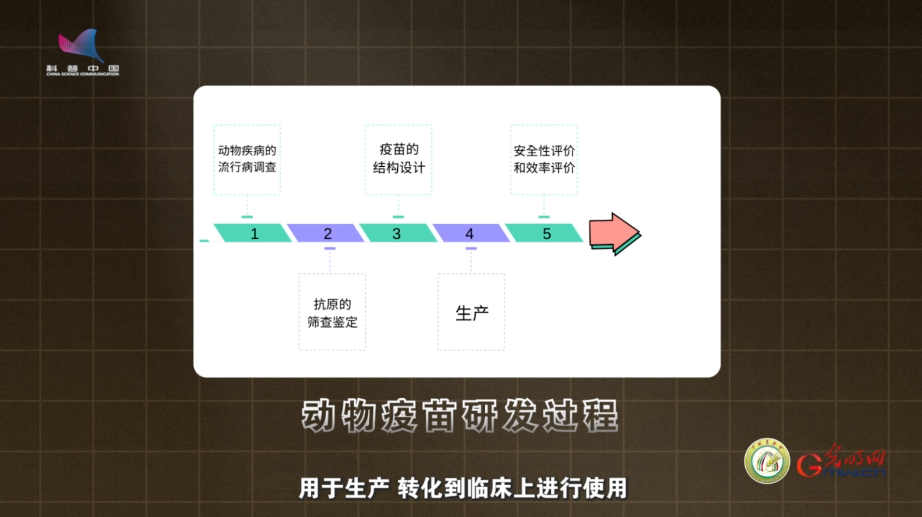 【大国粮策】喂得讲究，打的精准，给动物健康做一场“科学加法”