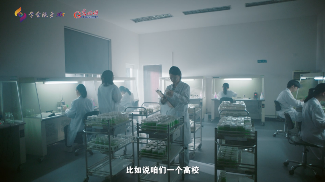 期刊大咖谈｜从优质平台到集群生态：光学期刊的“双回流”之路