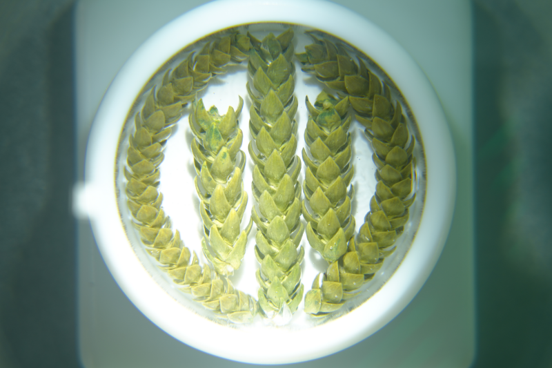 首个“全国科普月”：中国科技馆创新成果展亮相北京朝阳