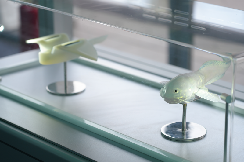 首个“全国科普月”：中国科技馆创新成果展亮相北京朝阳