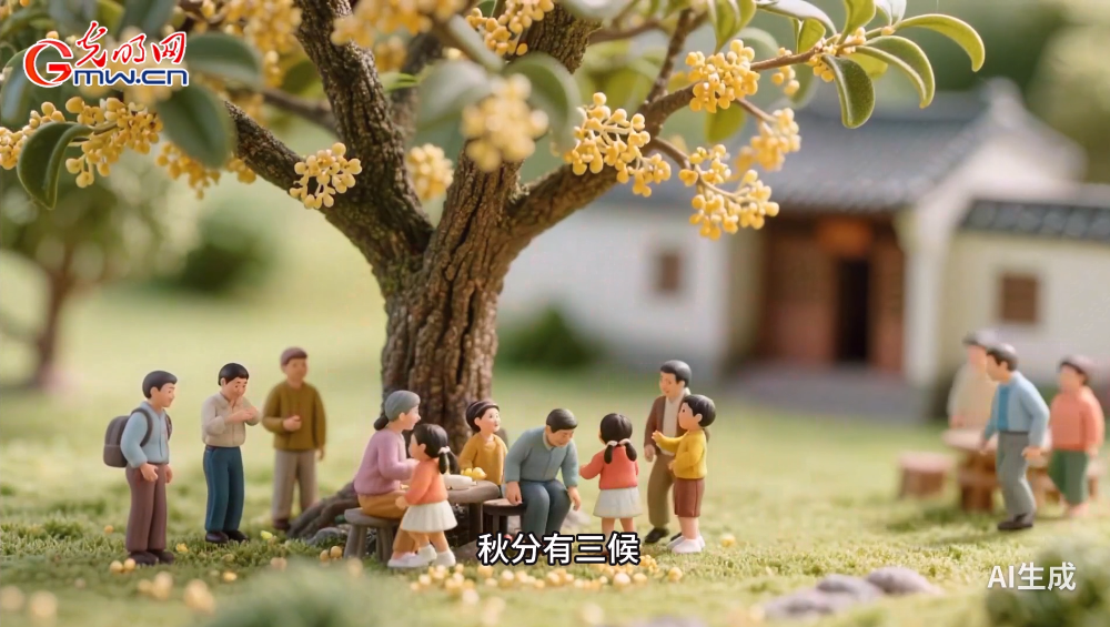 AI动画｜秋分：平分秋色，人间均寒