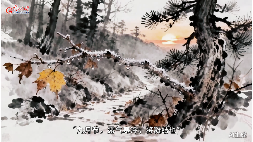 AIGC动画｜寒露：露寒欲霜处，秋深向冬时