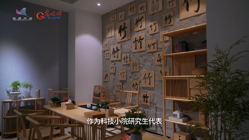 千年竹韵奏响绿色发展新乐章