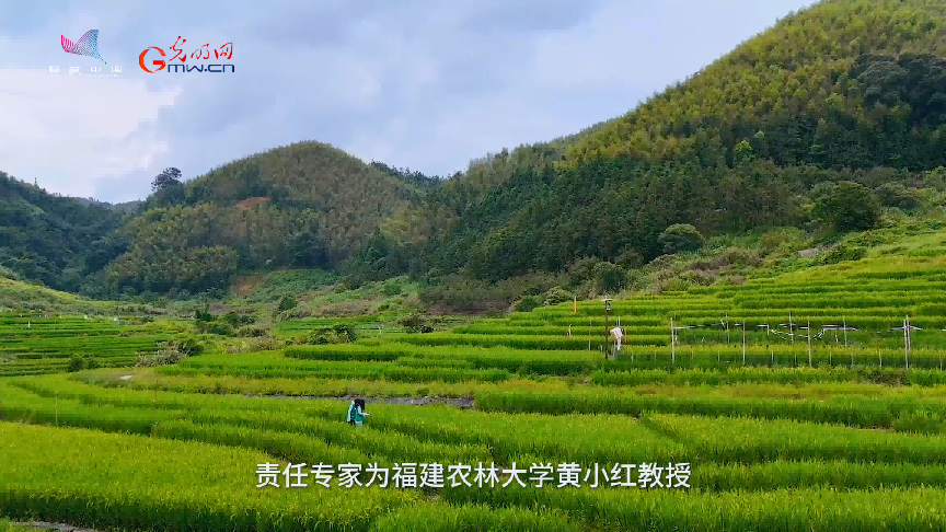 生态种养绘就乡村振兴“双赢画卷”