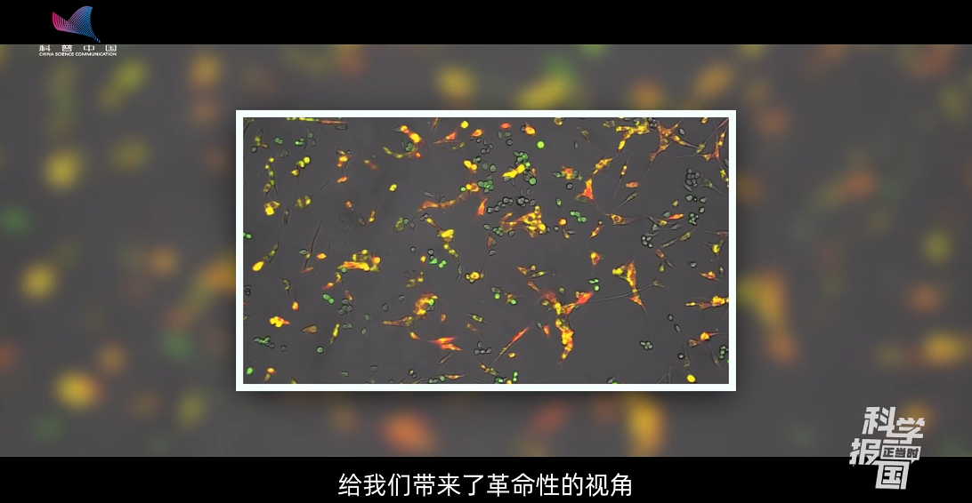 科学报国正当时｜跨界融合 解密生命——走近化学生物学专业