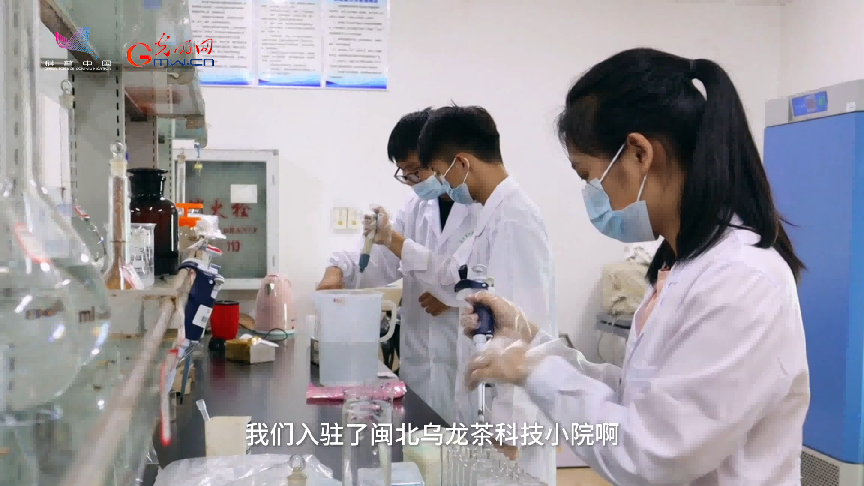 一杯茶里的科技力量