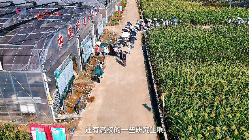 做强种业“芯”！这个“小院”不一般