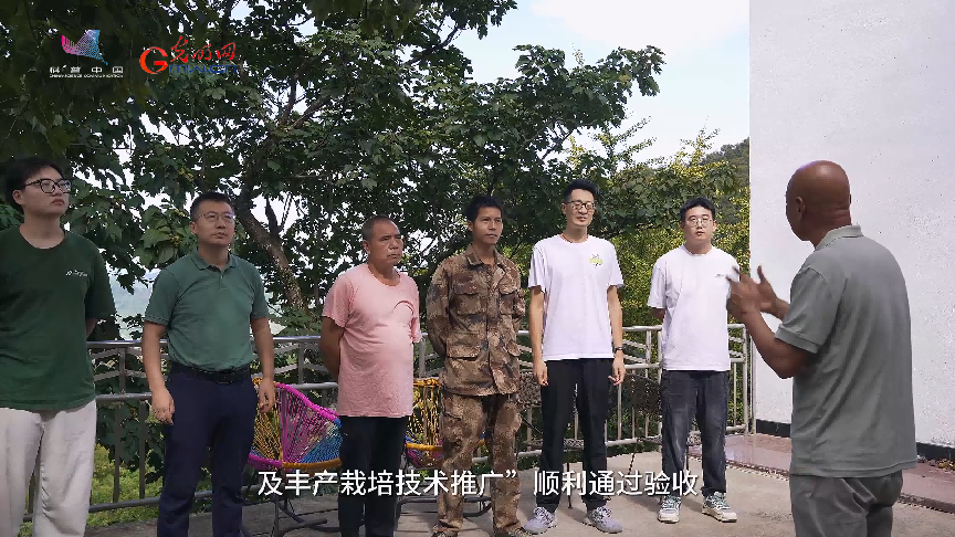 科技小院让红花油茶开出“致富花”