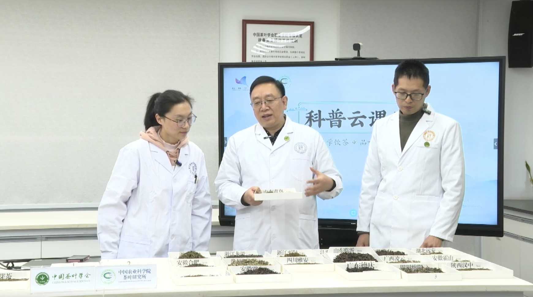 科学“找茬”辨黄茶，黄茶科学品鉴云课堂开讲