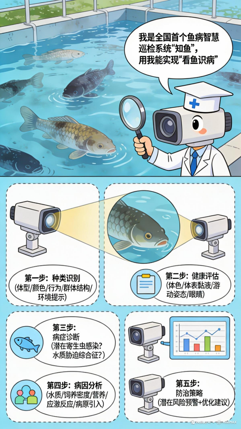 告别“靠猜治病”！养殖业有了“AI鱼医生”