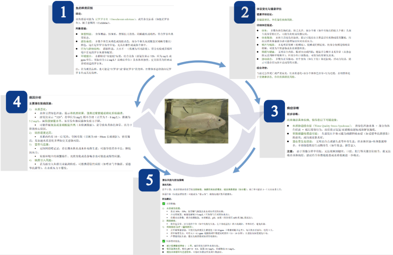 告别“靠猜治病”！养殖业有了“AI鱼医生”