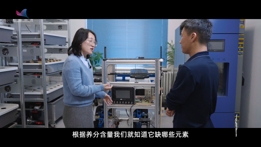 藏在芯片里的黑土“流量密码”