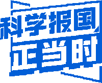 藏在芯片里的黑土“流量密码”