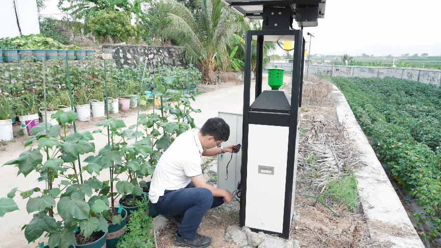 新春走基层｜“虫子飞到哪，我们的监测和研究就跟到哪”