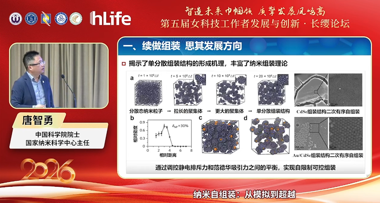 从模拟到超越，一位院士的二十年纳米自组装探索之路