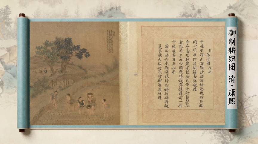 【画说种地】插秧为何讲究“浅直匀”？
