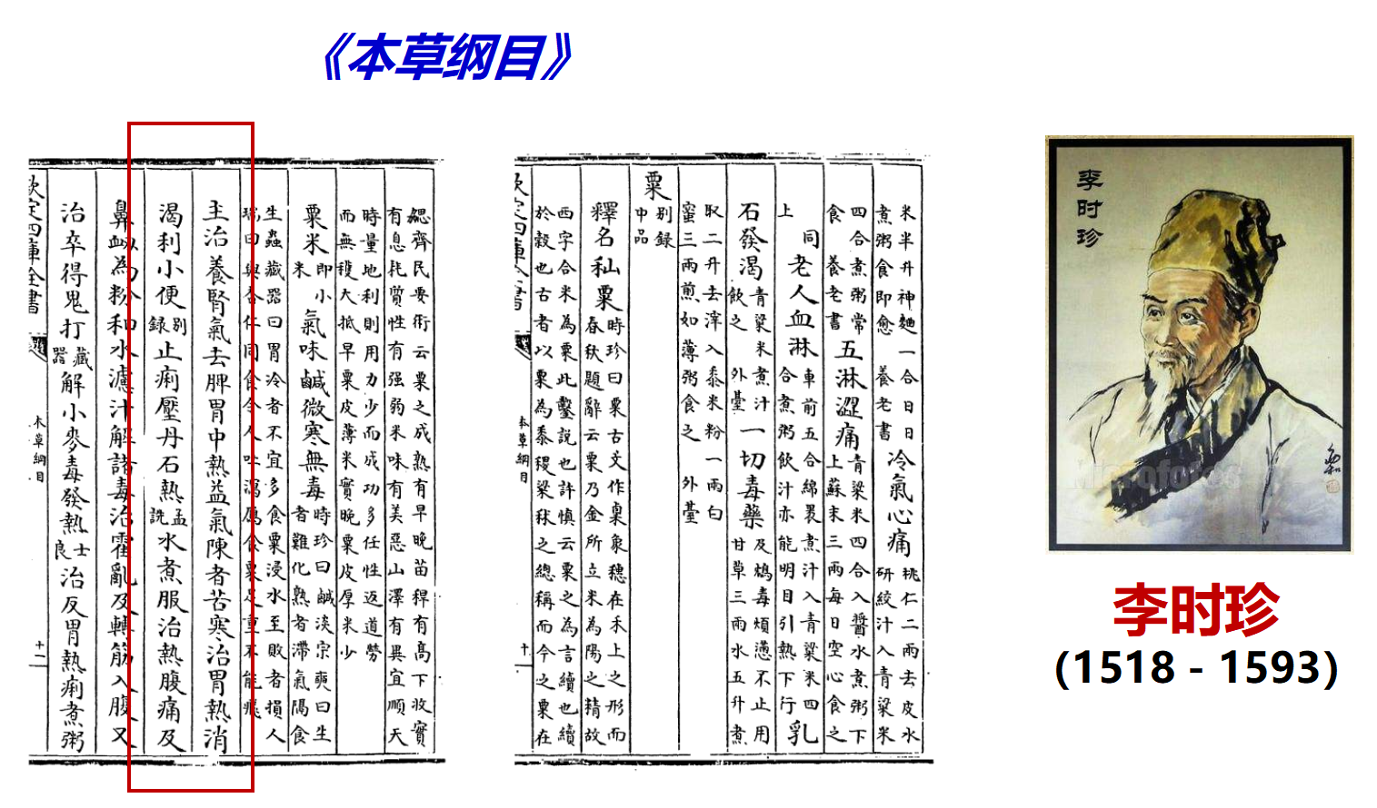 【大国粮策】小米：低调的“五谷之首”，全能的“营养冠军”