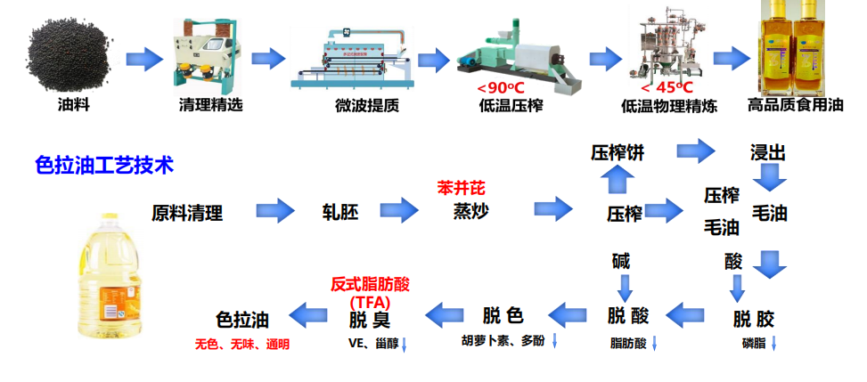 【大国粮策】别再傻傻戒油了！解码油脂里的“隐形营养”与健康密码