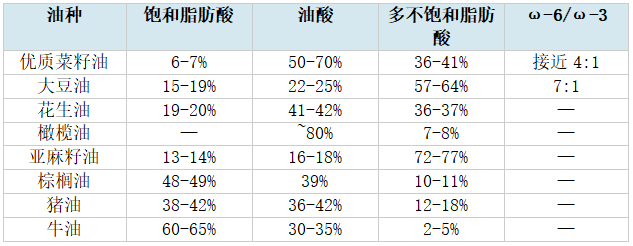 【大国粮策】别再傻傻戒油了！解码油脂里的“隐形营养”与健康密码