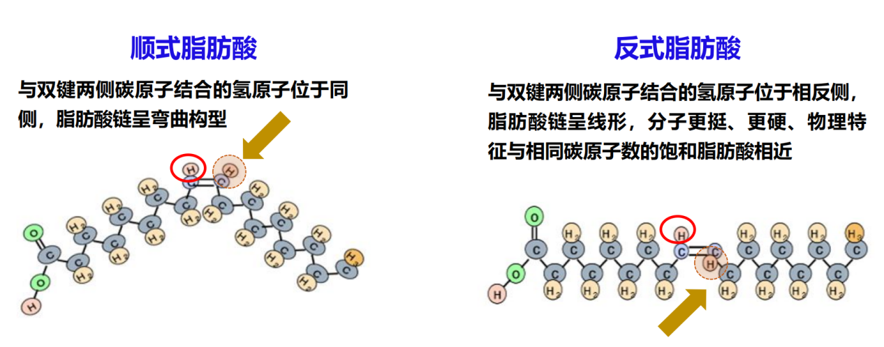 【大国粮策】读懂油脂，你吃的油到底是什么？