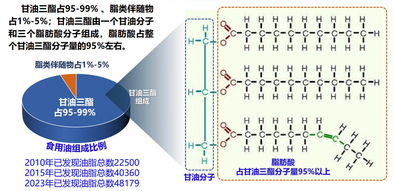 【大国粮策】读懂油脂，你吃的油到底是什么？