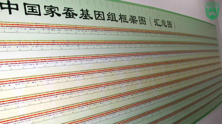 除了拍晕它，我们和蚊子还有别的出路吗？