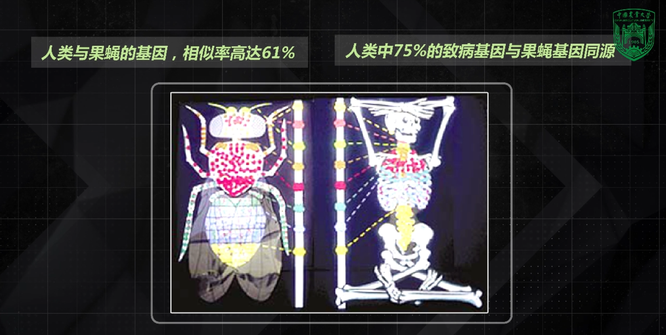 除了拍晕它，我们和蚊子还有别的出路吗？