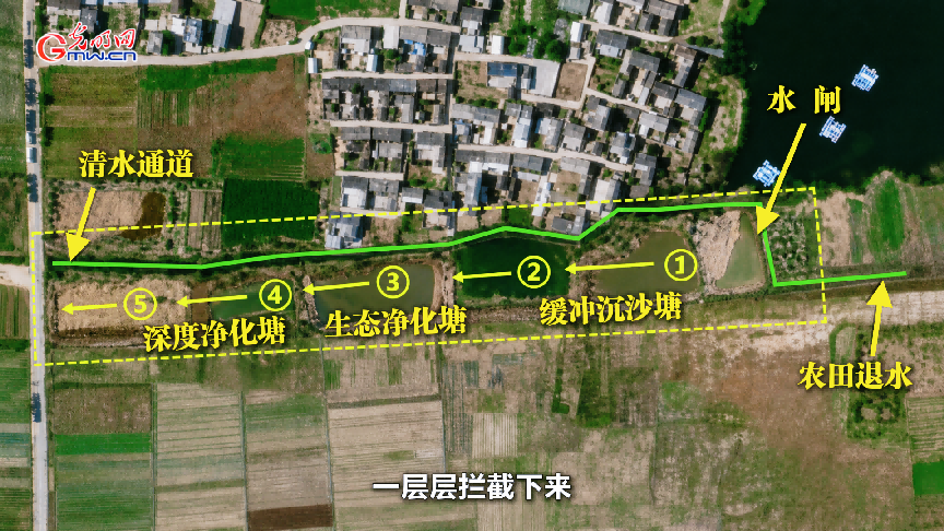 从“一湖之治”到“流域之治”， 科技赋能洱海保护
